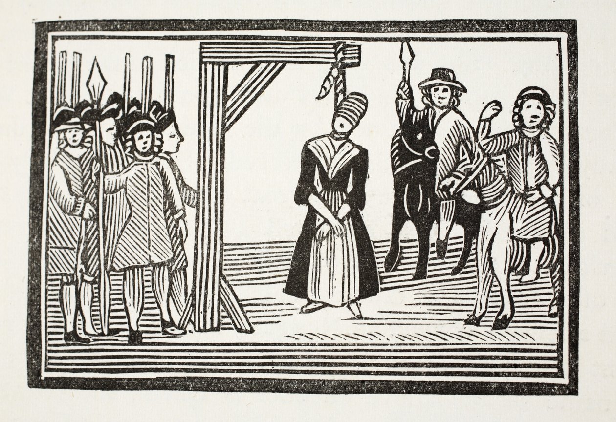 Het hele leven en avonturen van Miss Davis, algemeen bekend als De Schoonheid in Vermomming, illustratie uit 