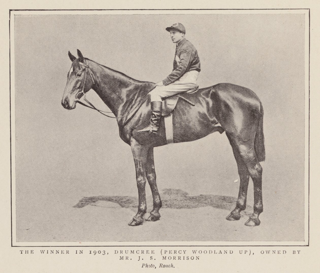 Drumcree, winnaar van de Grand National 1903 door (after) English photographer