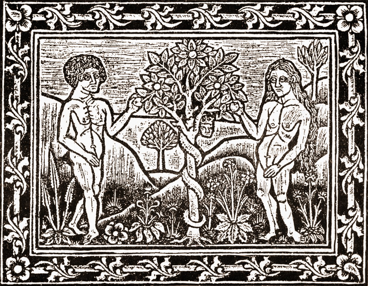 De Boom waarvan Adam de Appel at, facsimile uit een meditatieboek, het eerste boek gedrukt in Albi, Languedoc, in 1481 door (after) French School