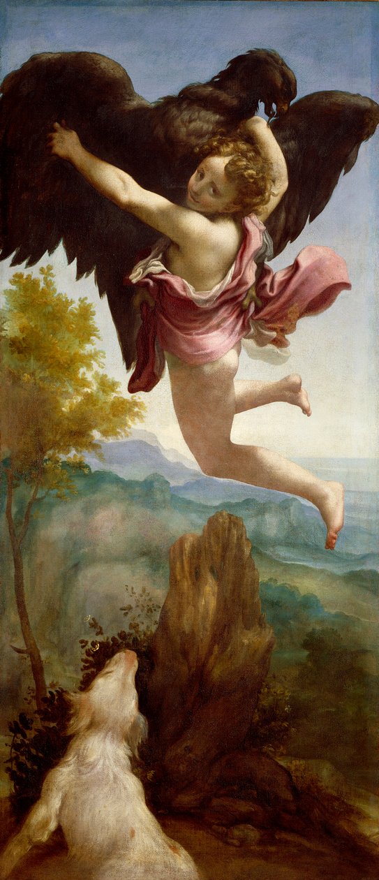 De ontvoering van Ganymedes door (c.1489 1534) Correggio