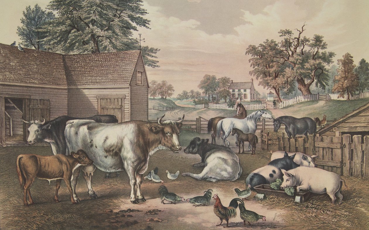 Amerikaanse boerderij - avond door American School