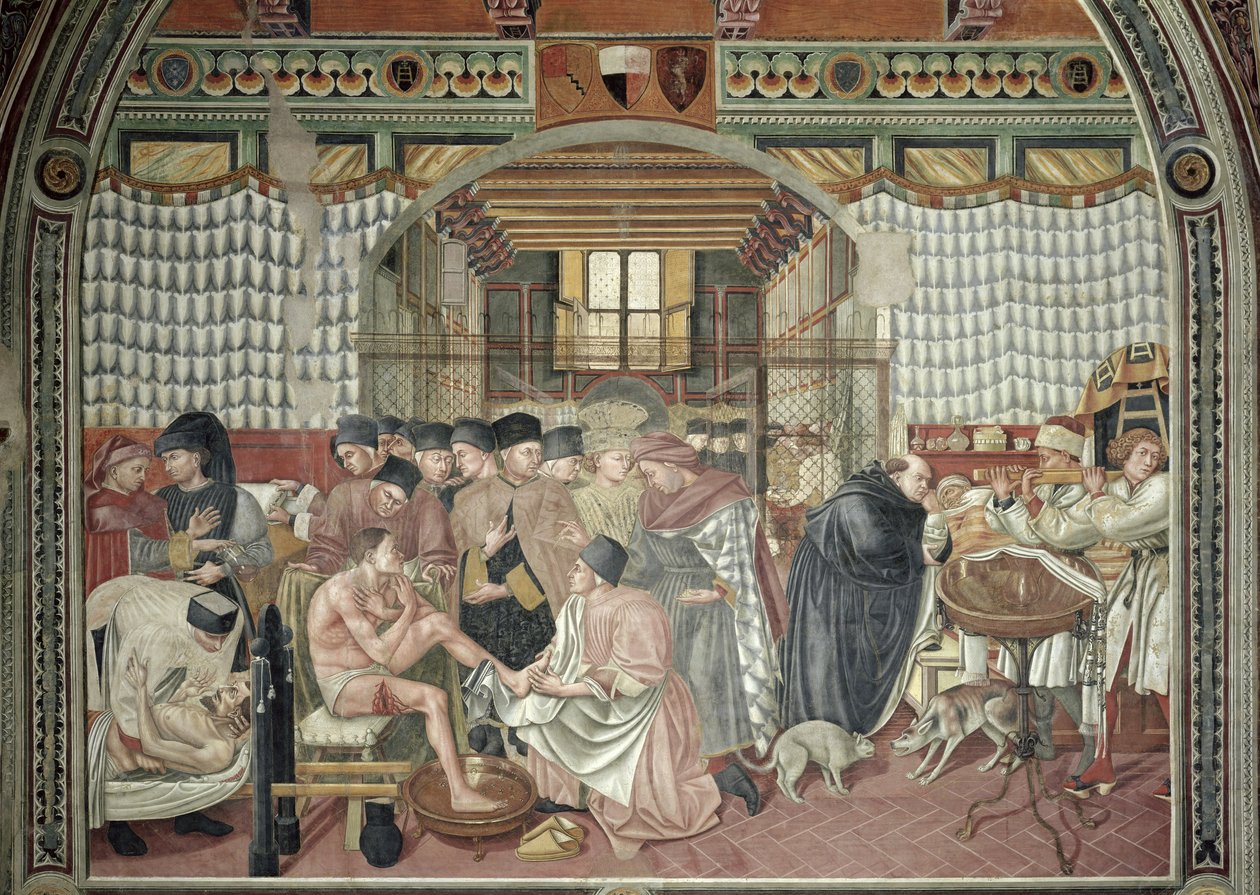 Zorg voor de zieken, 1440-41 door Domenico di Bartolo