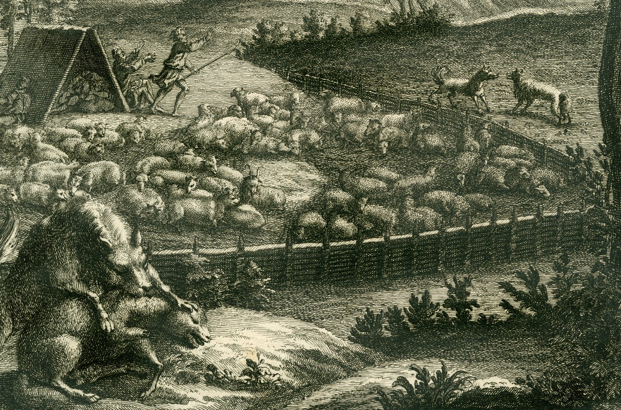 Wolf die een schaap aanvalt, 1731 (kopergravure) (detail) door German School