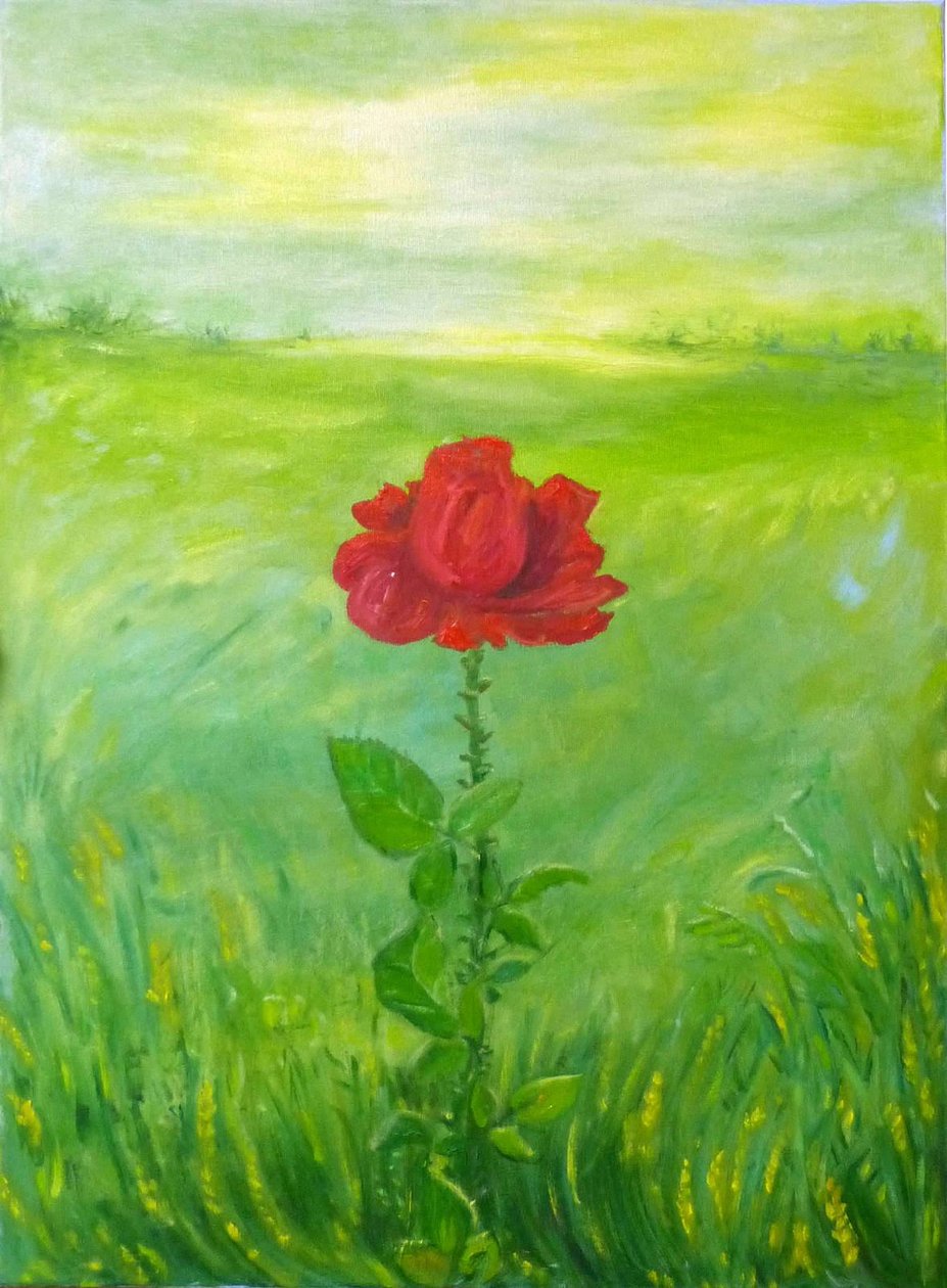 Roos door Elzbieta Goszczycka