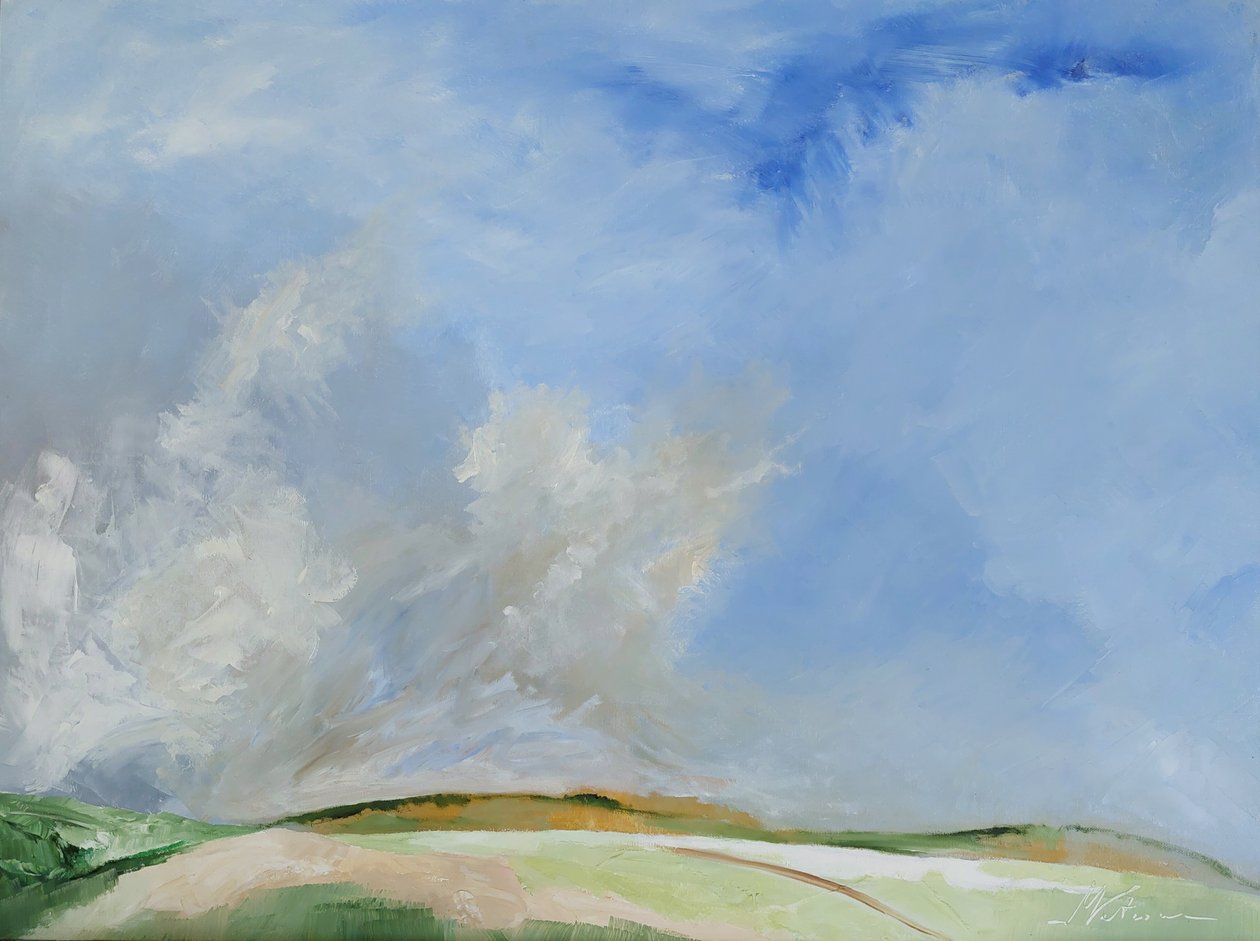 Verbrande heuvel door M. Vet