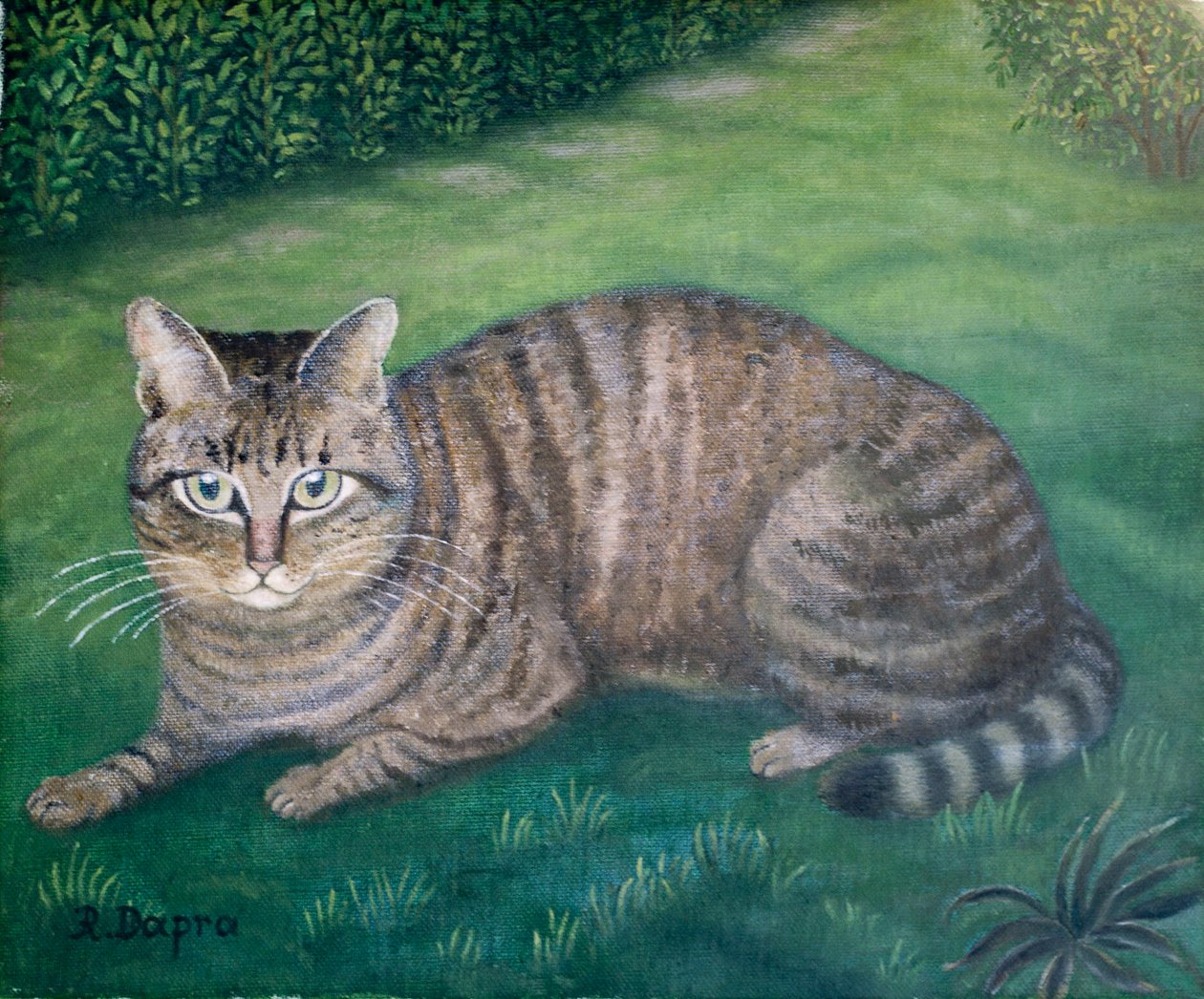 De kat Julia door Regine Dapra
