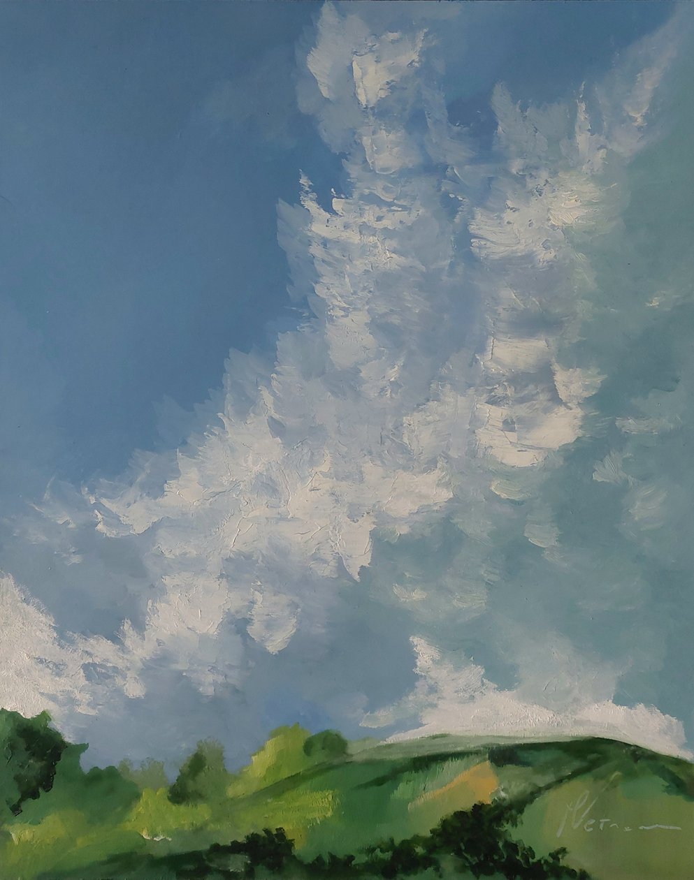 Groene heuvels tussen wolken door M. Vet