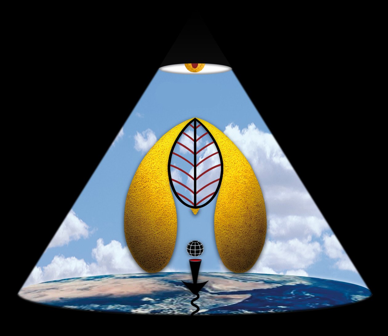 Im Anfang war das Wort (aus der Serie Lichtung) door Alexander Eibach