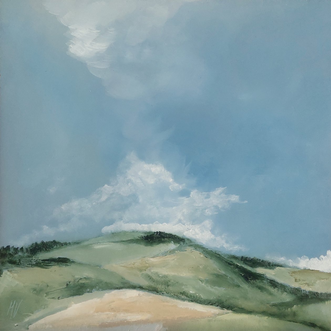 Vlakke heuvel door M. Vet