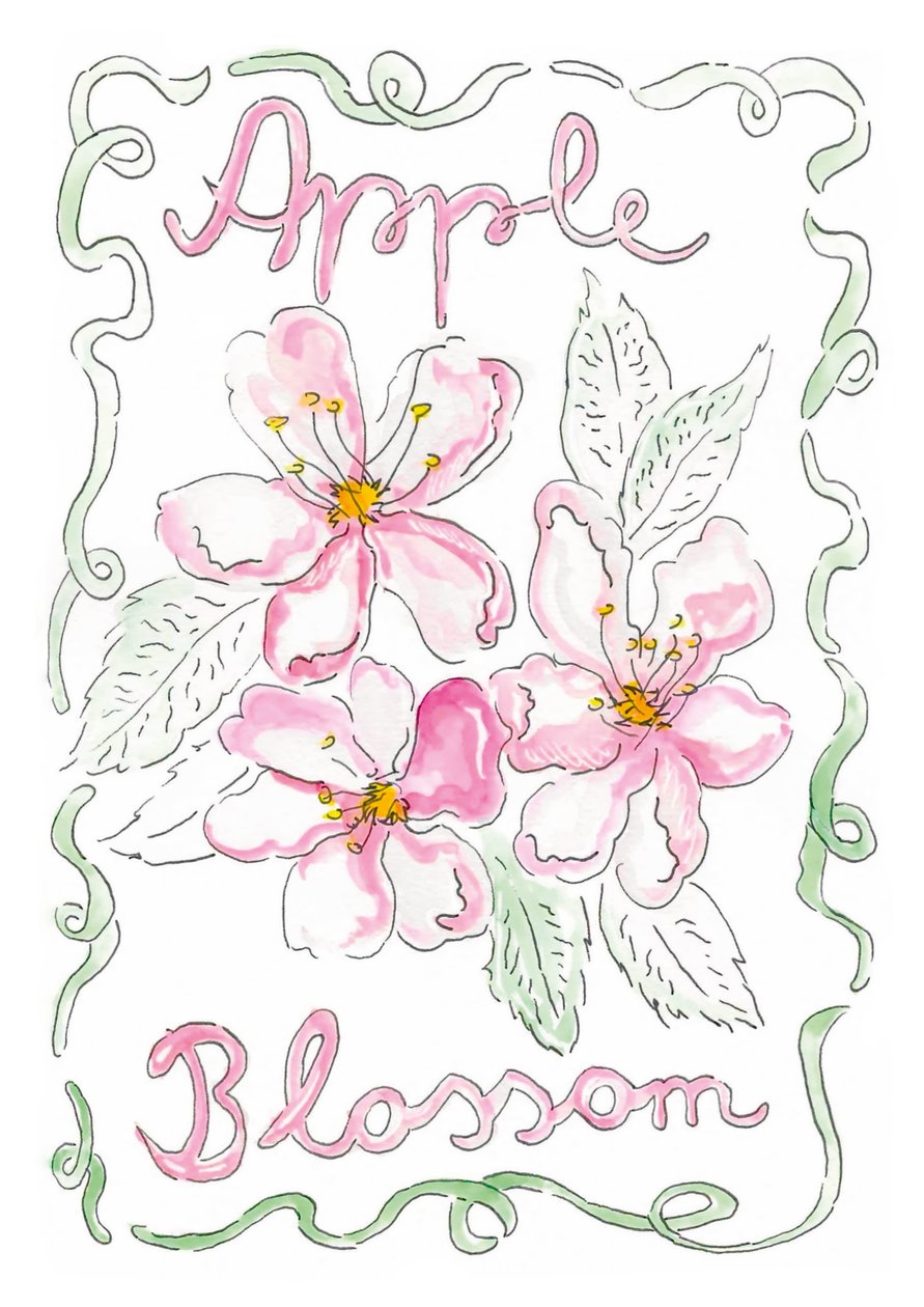  door june art