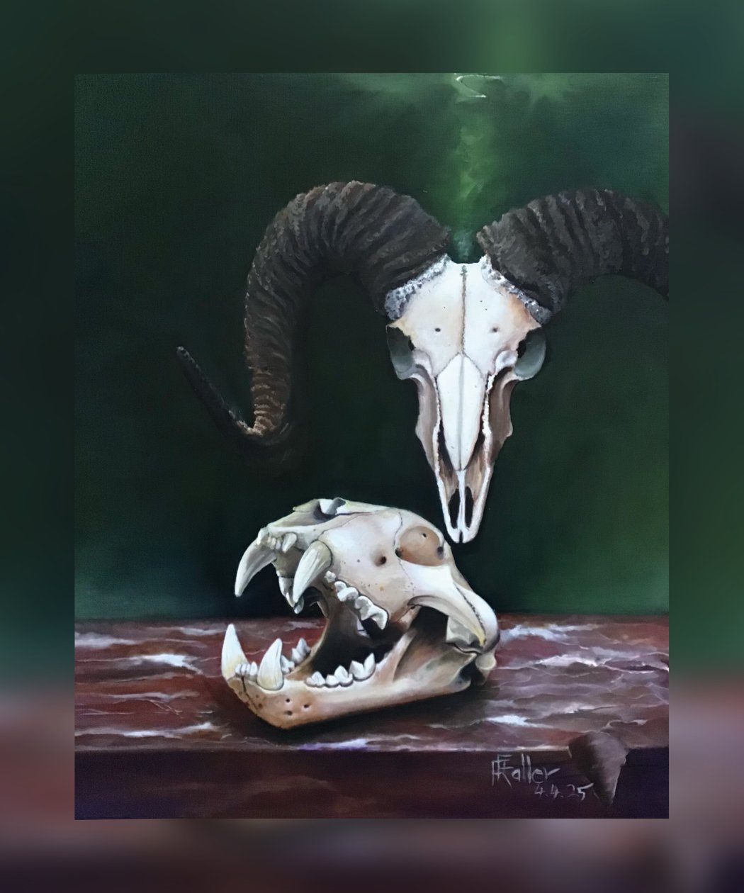 Memento mori (Studie van dierenschedels) door Faller Rüdiger - Tician