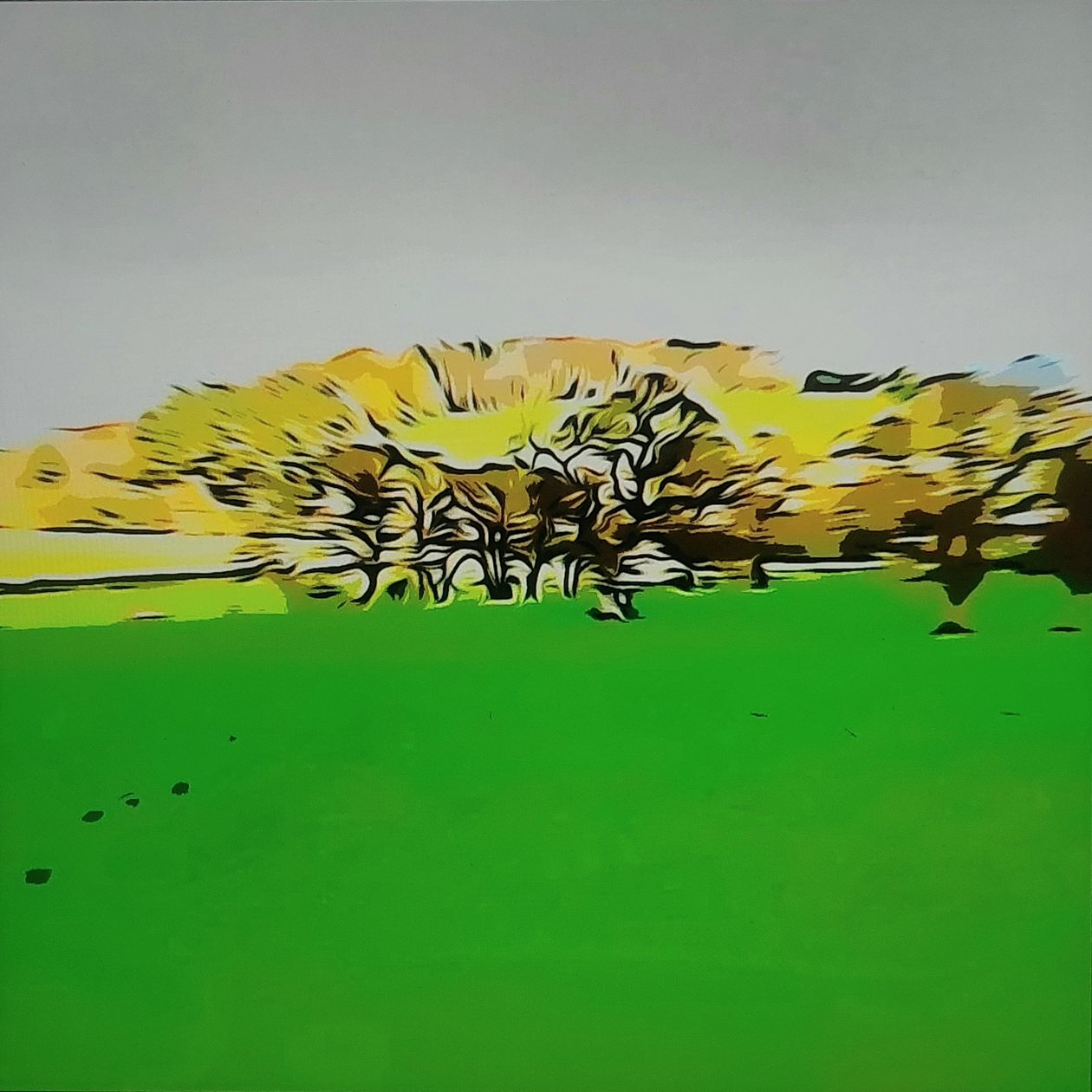 Digitale Landschaft 24 door M. Vet
