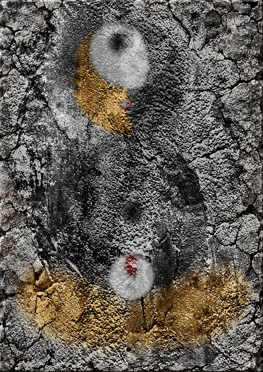 Lascaux (Graffiti) door Alexander Eibach