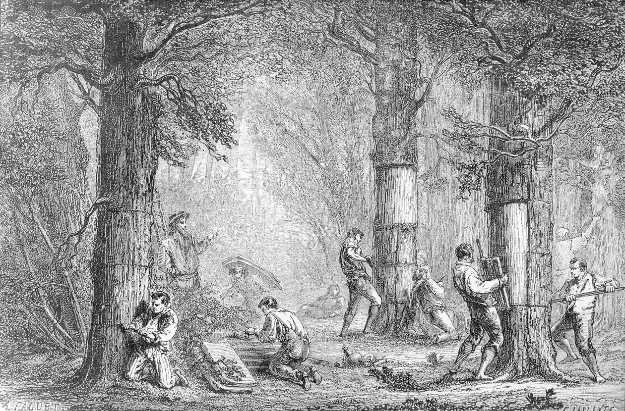 Schors (Verzamelen van de Schors van de Kurkeik) (gegraveerd door Charles Laplante) door A. Faguet