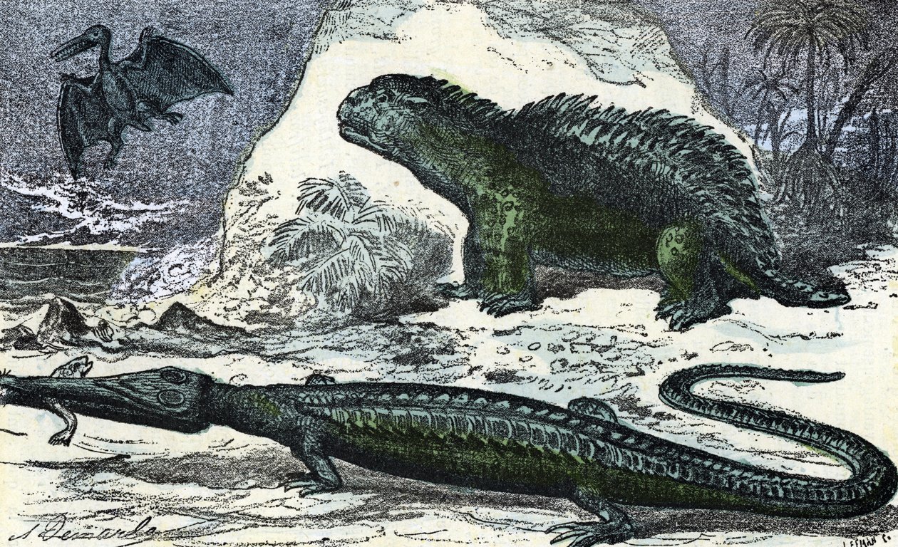 Prehistorie: voorstelling van een teleosaurus (verlengde snuit) en een hyleosaurus uit het Jura tijdperk gravure uit "Natuur en Mens" door Rengade 1881 door A. Demarle