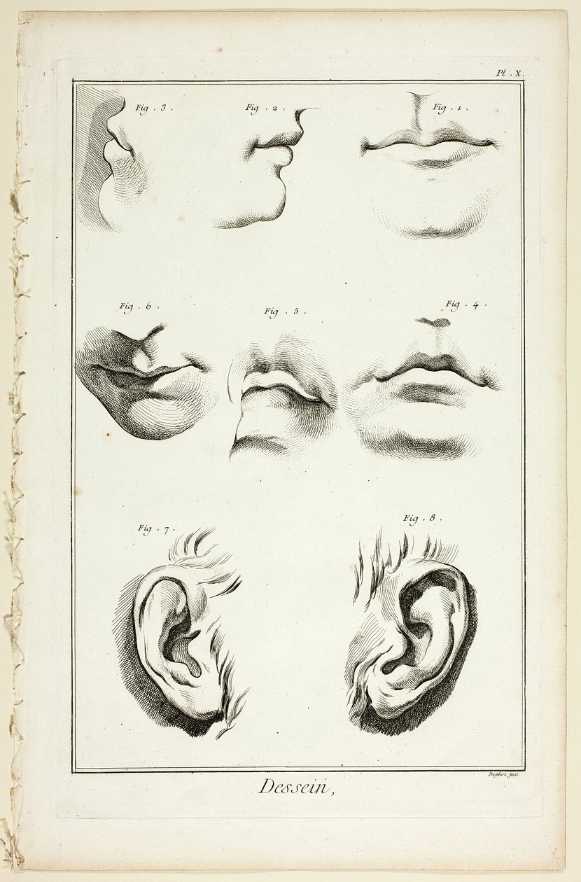 Ontwerp: Gezichtsanatomie uit Encyclopédie door A. J. Defehrt
