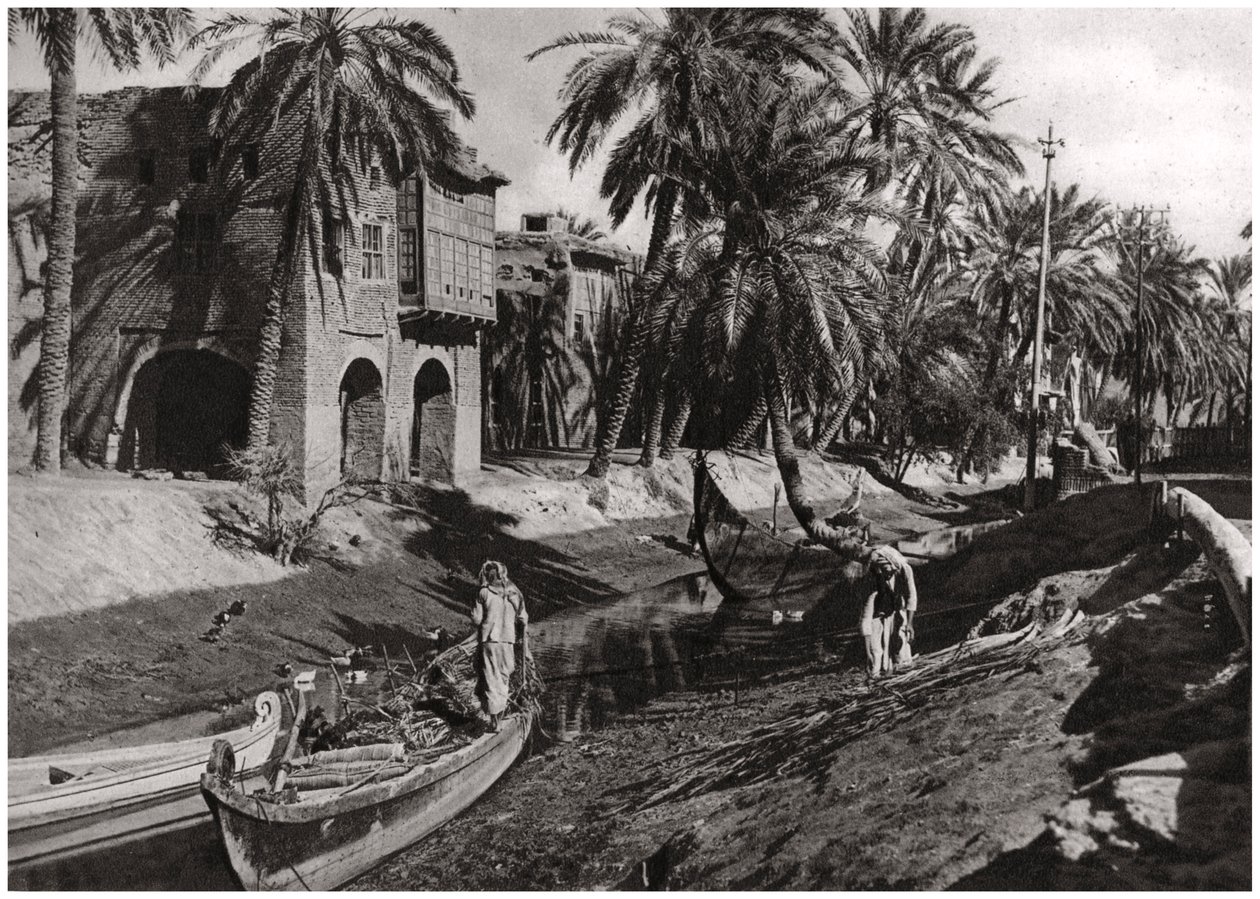 Serai Creek, Basra, Irak door A. Kerim