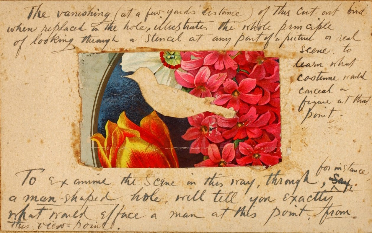 Vogelstencil, studiemap voor boek Concealing Coloration in the Animal Kingdom door Abbott Handerson Thayer