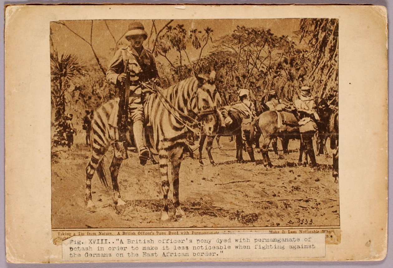 Paard en kruiser gecamoufleerd, studiemap voor boek Concealing Coloration in the Animal Kingdom door Abbott Handerson Thayer