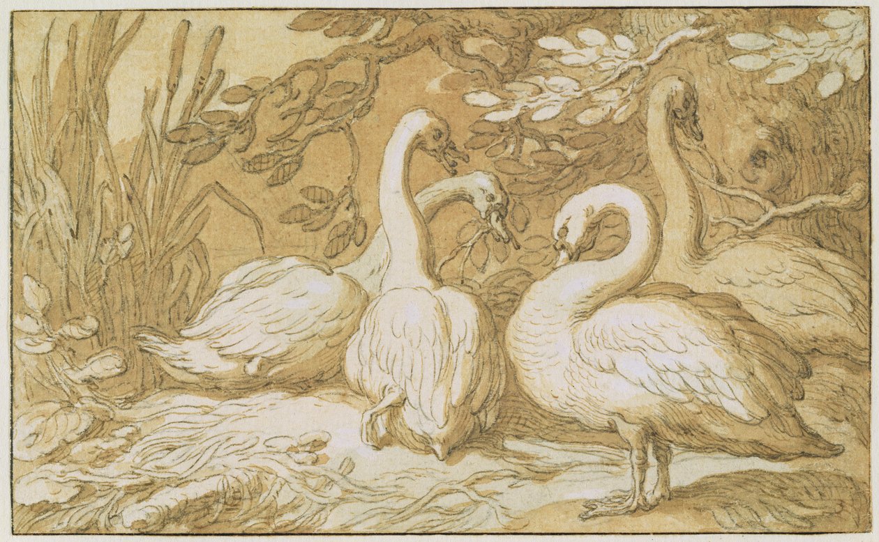 Een Groep Zwanen door Abraham Bloemaert