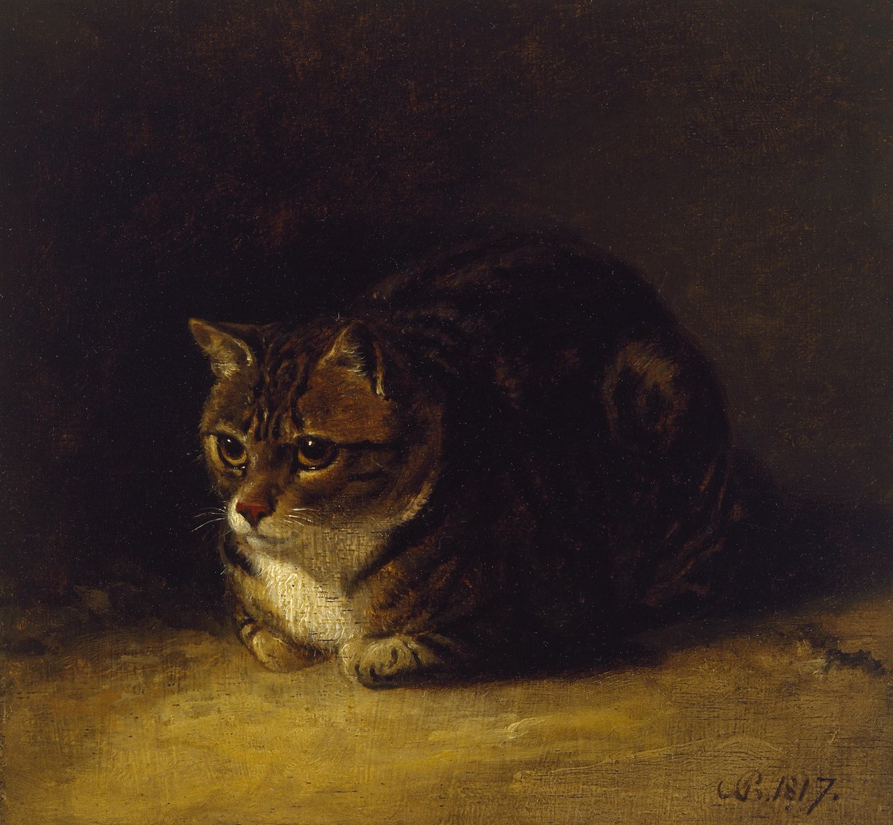 Studie van een kat, 1817 door Abraham Cooper