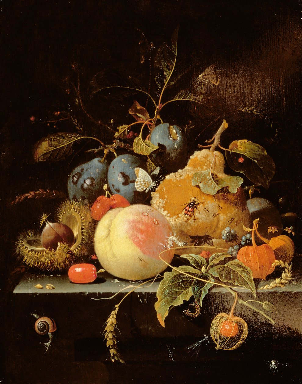 Stilleven van fruit en noten op een stenen richel door Abraham Mignon