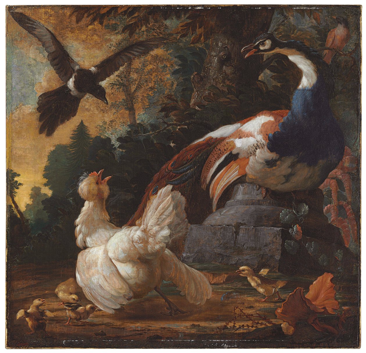 Een pauw, pluimvee en een ekster in een landschap, 1720 door Abraham Bisschop