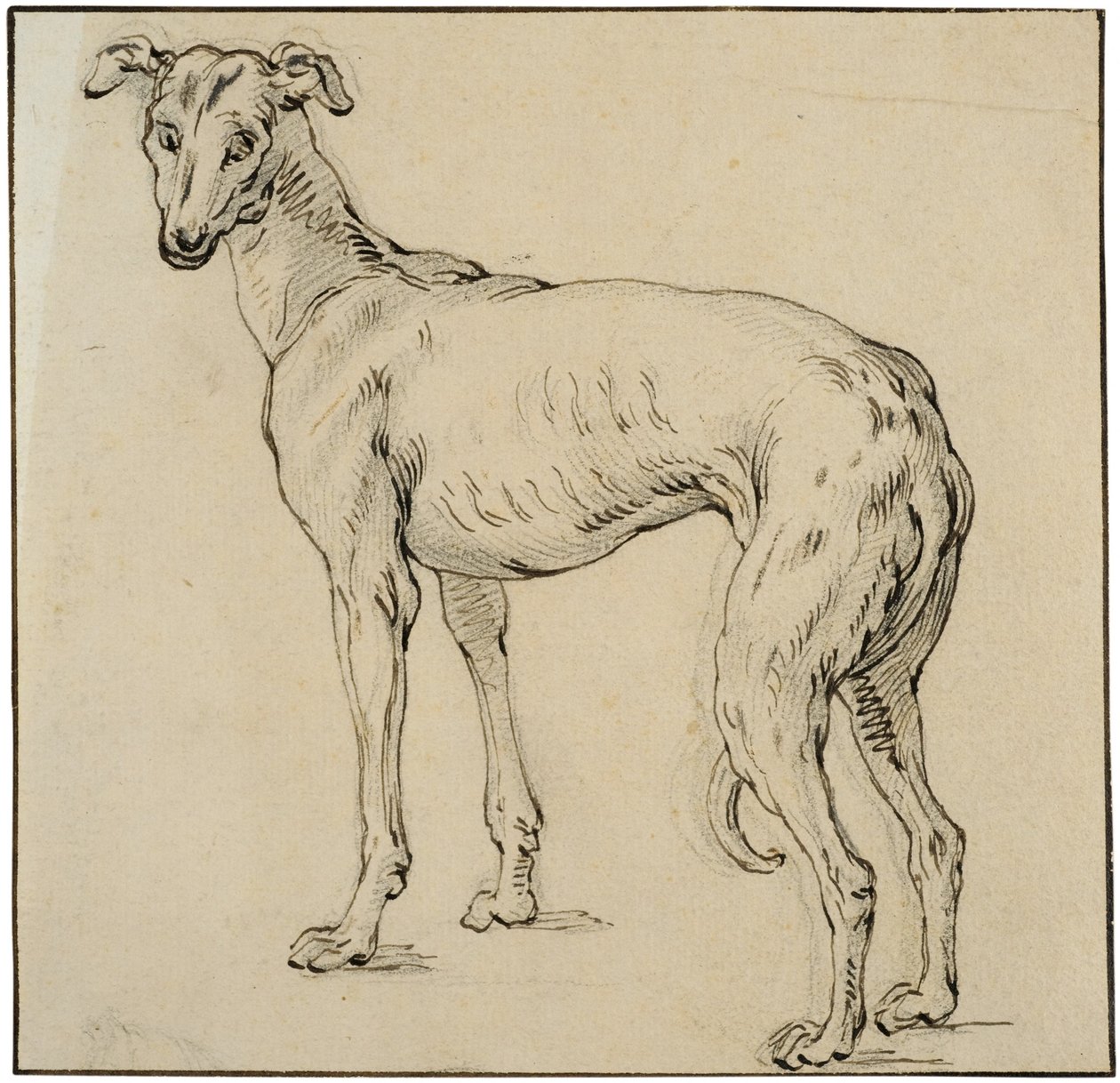 Windhond door Abraham Bloemaert