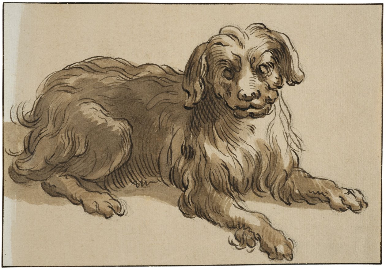 Langharige hond door Abraham Bloemaert