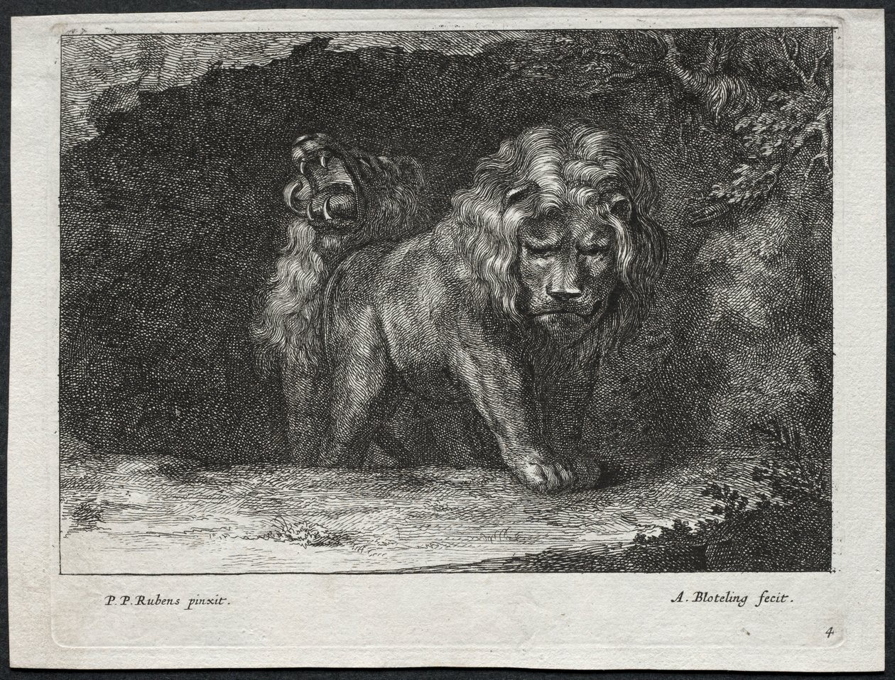Verschillende Leeuwen door Abraham Blooteling