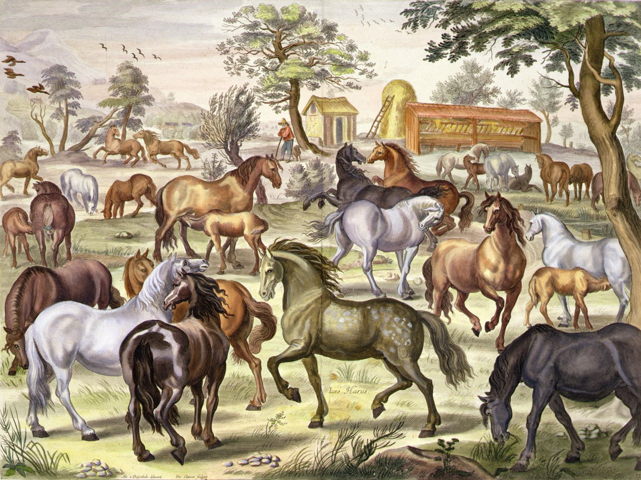 Vrijlopende paarden, plaat 11 uit 