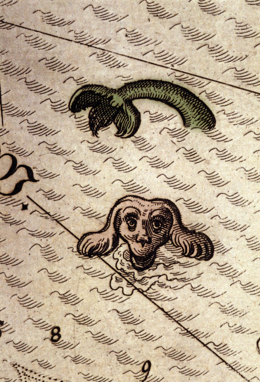 Een zeemonster heeft een hondenkop en een vissenlichaam. Detail van een kaart in Theatrum Orbis Terrarum door Abraham Ortelius, Antwerpen 1584. door Abraham Ortelius