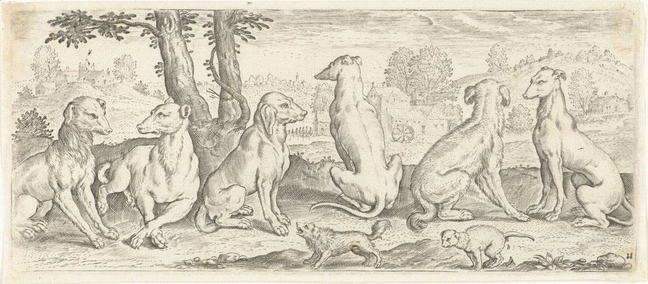 Honden door Abraham de Bruyn (possibly)