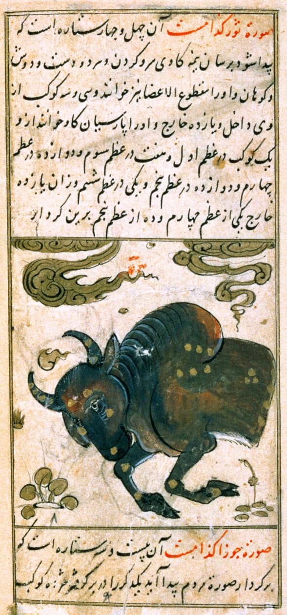 Sterrenbeelden van de Dierenriem: Stier, de Stier, uit Talim dar marifat i taqvuim door Abu Jafar al-Tabari