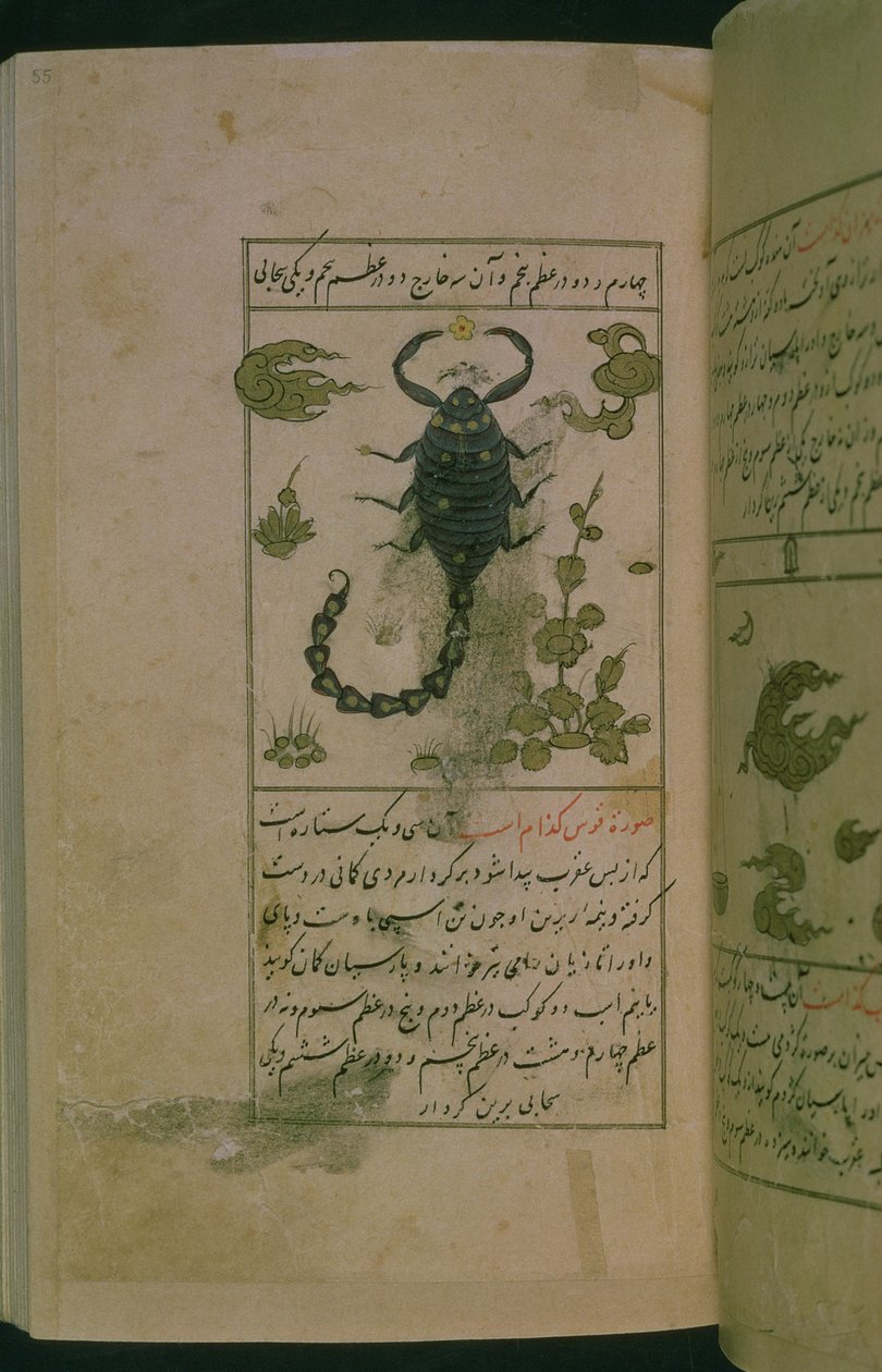 Constellaties van de Dierenriem: Schorpioen, de Schorpioen, uit Talim dar marifat i taqvuim, 1498 (903 Hijra) door Abu Jafar al Tabari