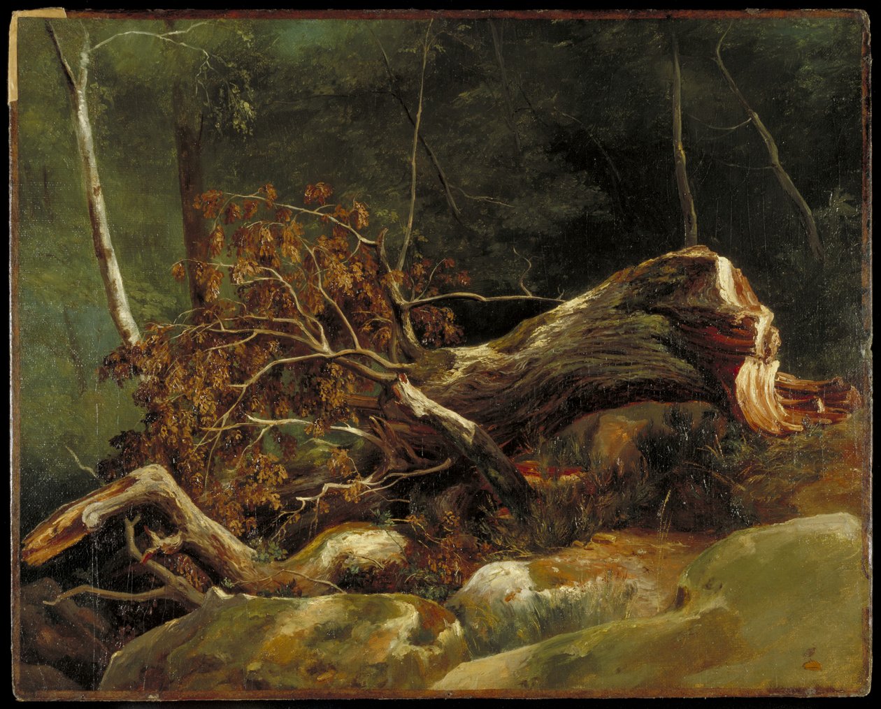 De Gevallen Tak, Fontainebleau, c.1816 door Achille Etna Michallon