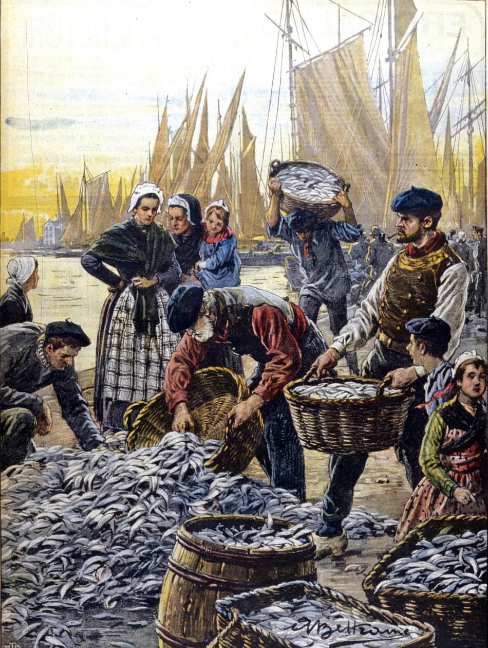 Sardinevisserij in Bretagne in 1903 illustratie door Achille Beltrame door Achille Beltrame