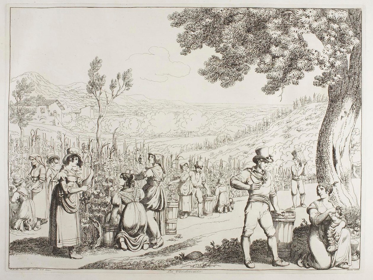 De wijnoogst door Achille Pinelli