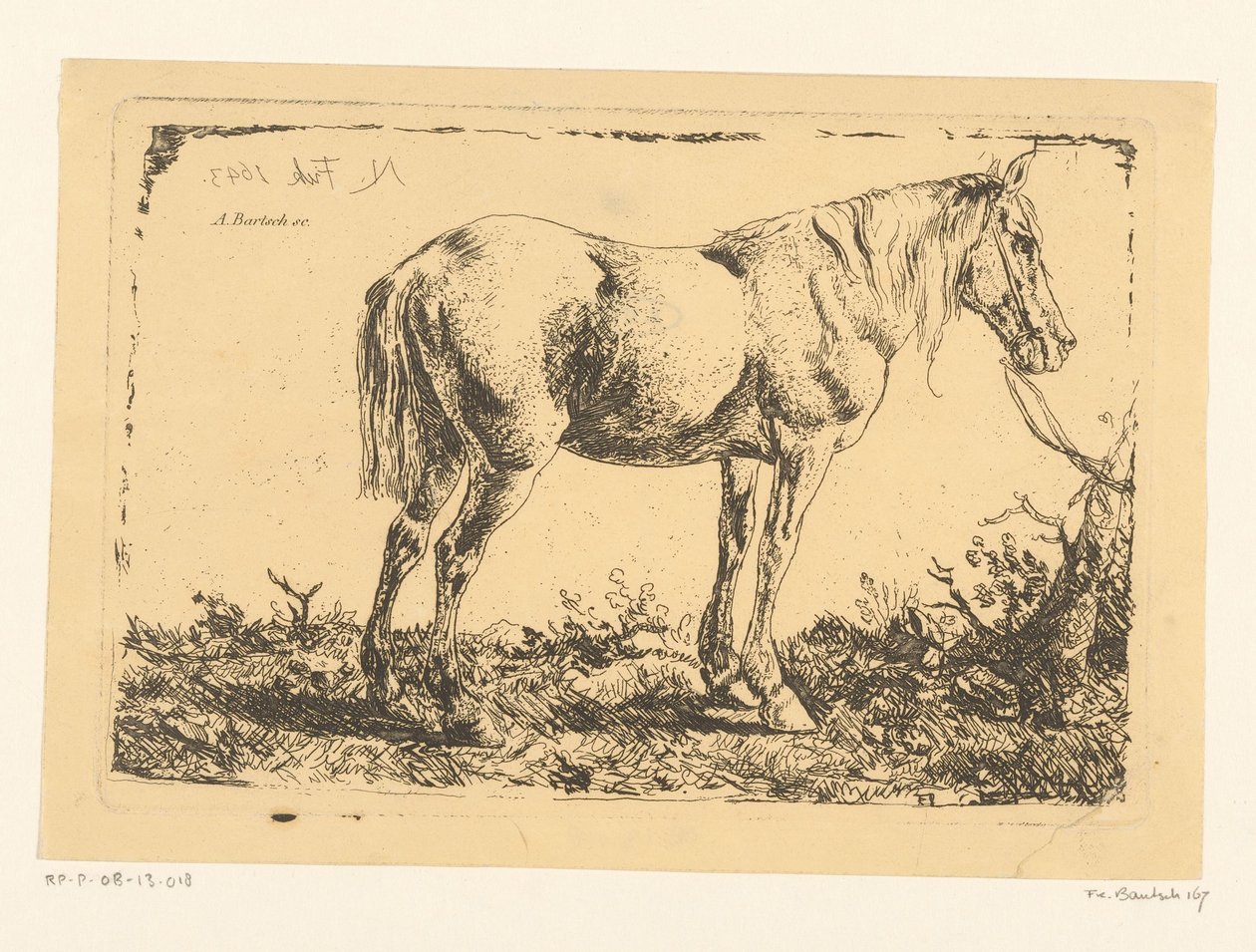 Paard aan een boom door Adam von Bartsch