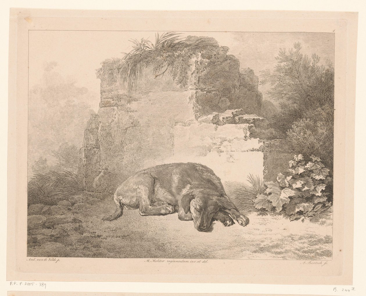 Slapende hond voor een muur (Dieren naar schilderijen van Hollandse meesters) door Adam von Bartsch