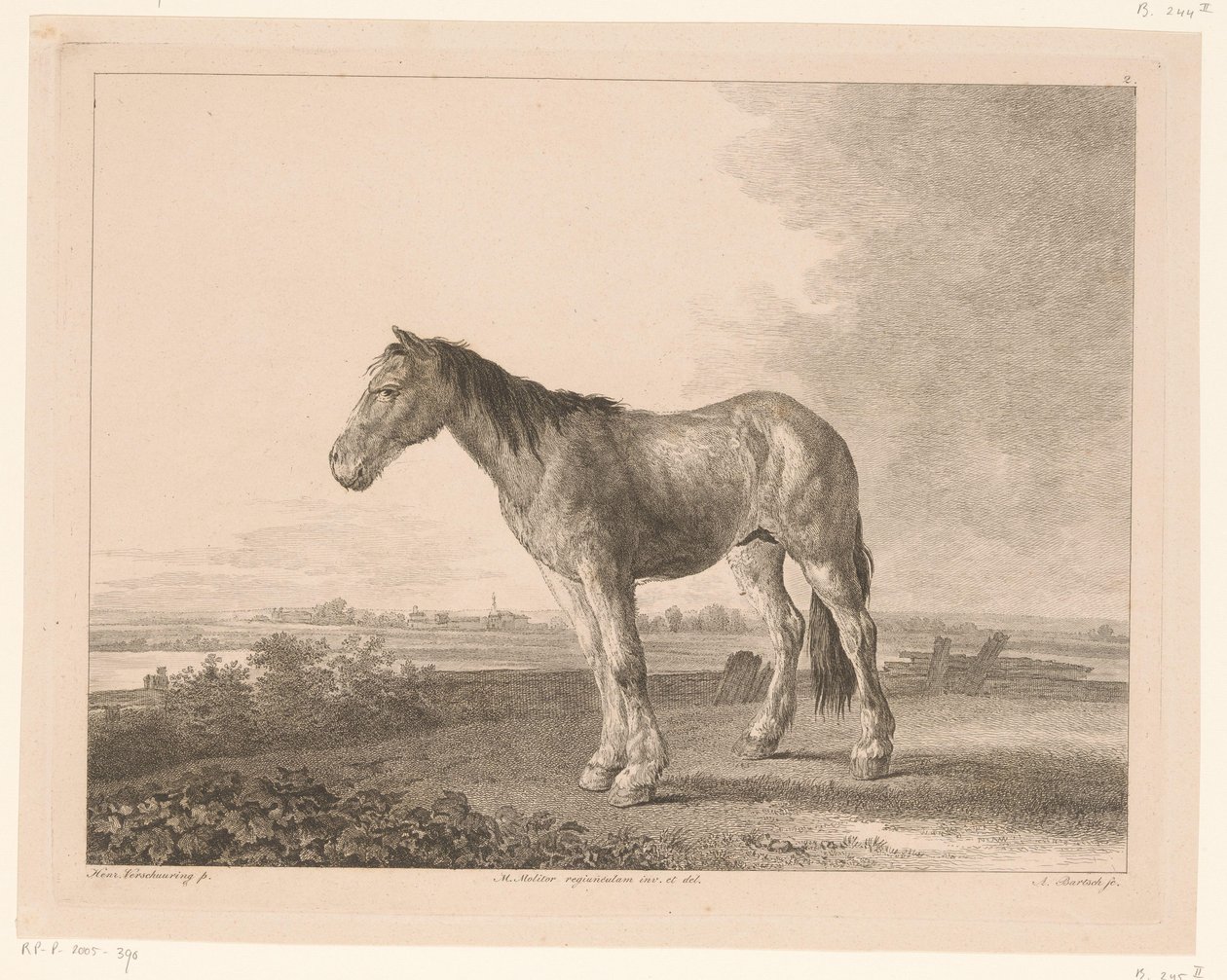 Staand paard in een rivierlandschap door Adam von Bartsch