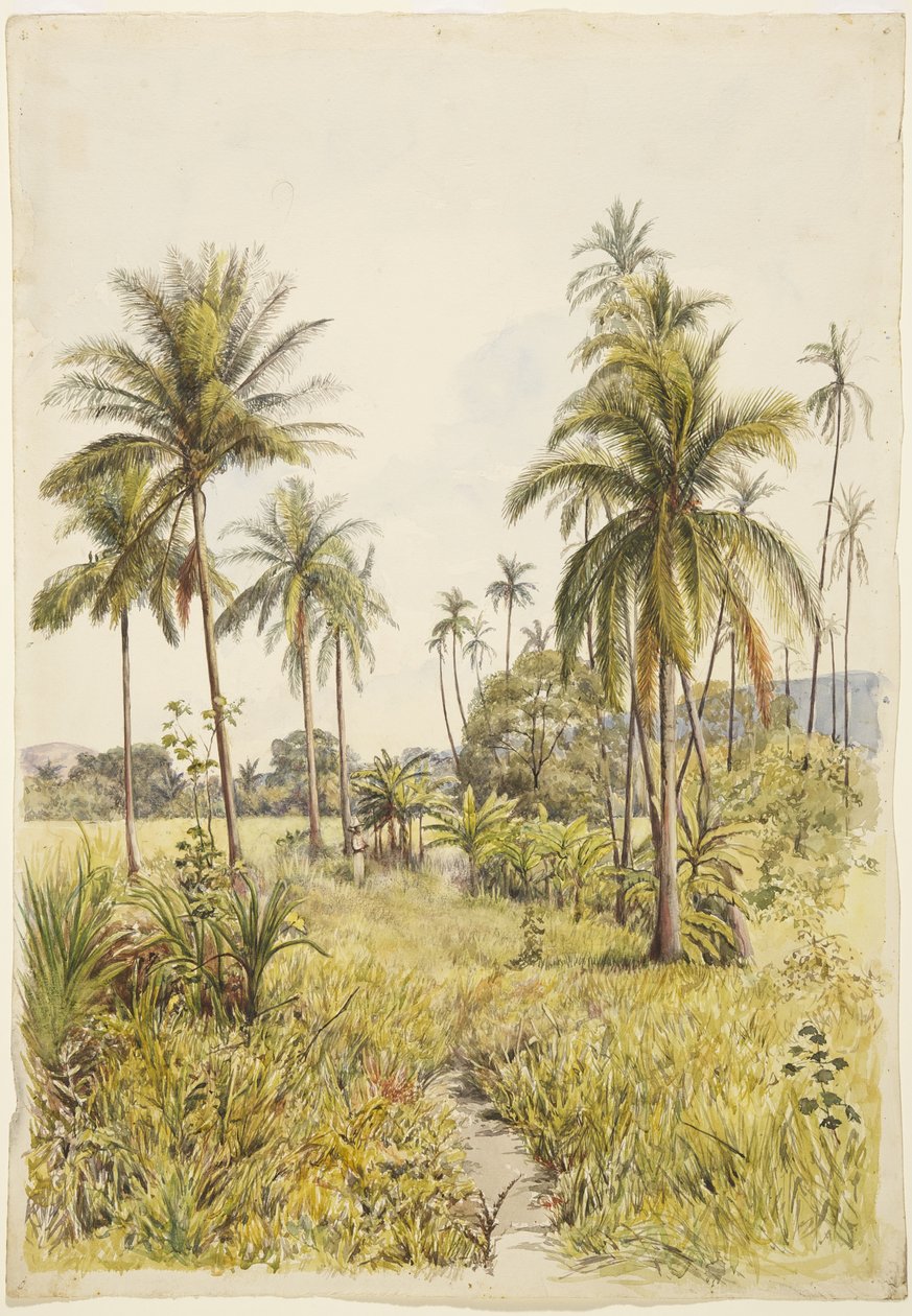 Palmbomen, Colima door Adela Breton