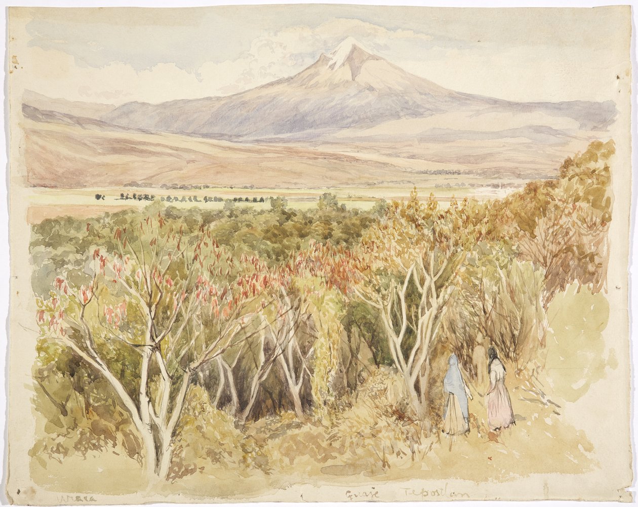 De vulkaan Popocatépetl vanuit Yautepec, Staat Morelos, Mexico door Adela Breton