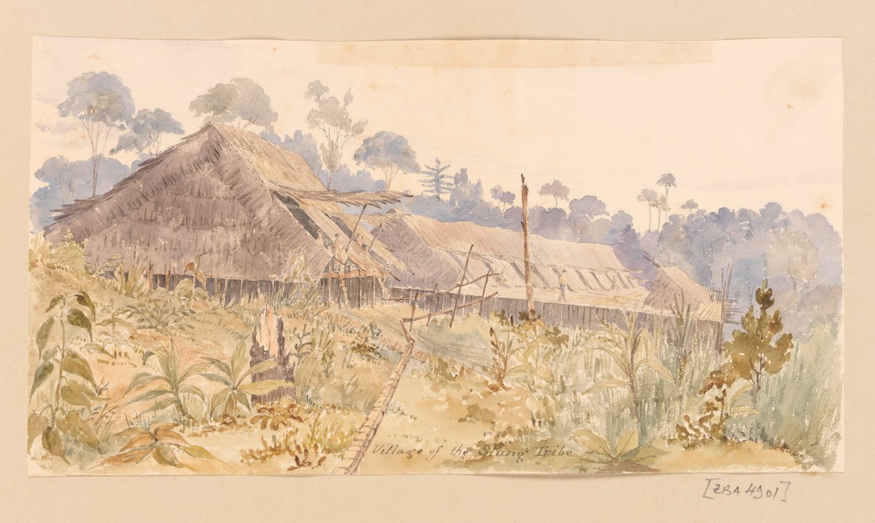 Dorp van de Stang-stam uit West-Indië, Noord-Amerika en Borneo plakboek door Admiral Sir Edward Gennys Fanshawe