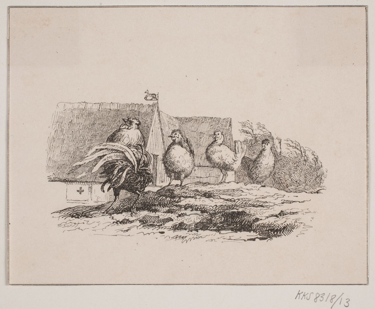 De haan door Johan Adolph Kittendorff