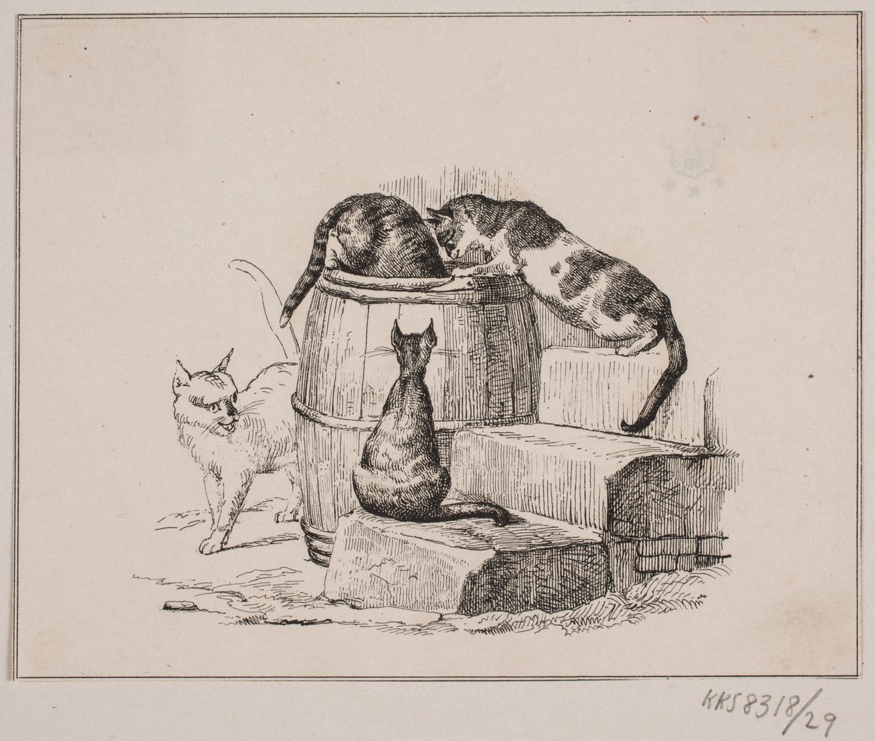 De katten door Johan Adolph Kittendorff