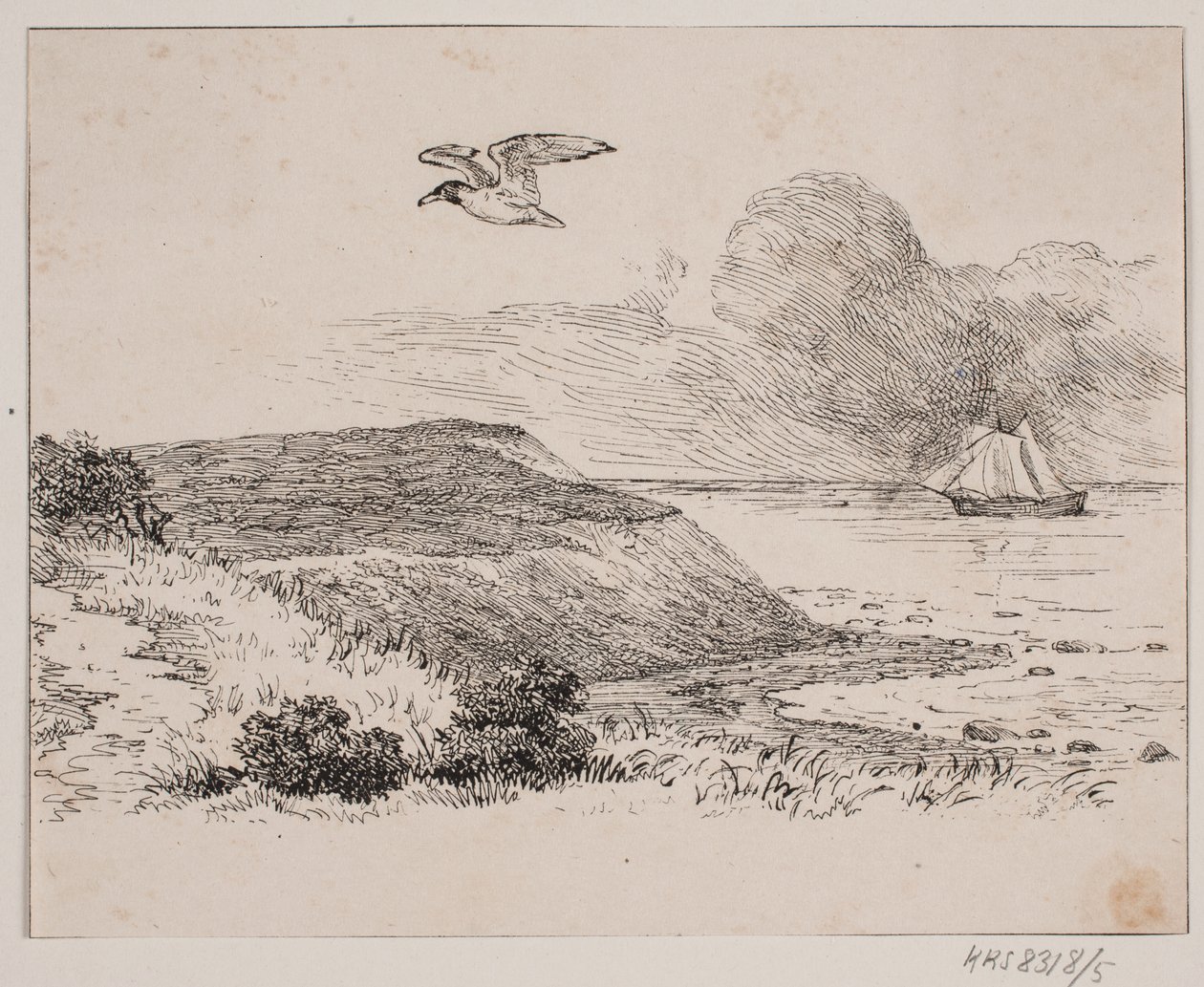 De meeuw door Johan Adolph Kittendorff