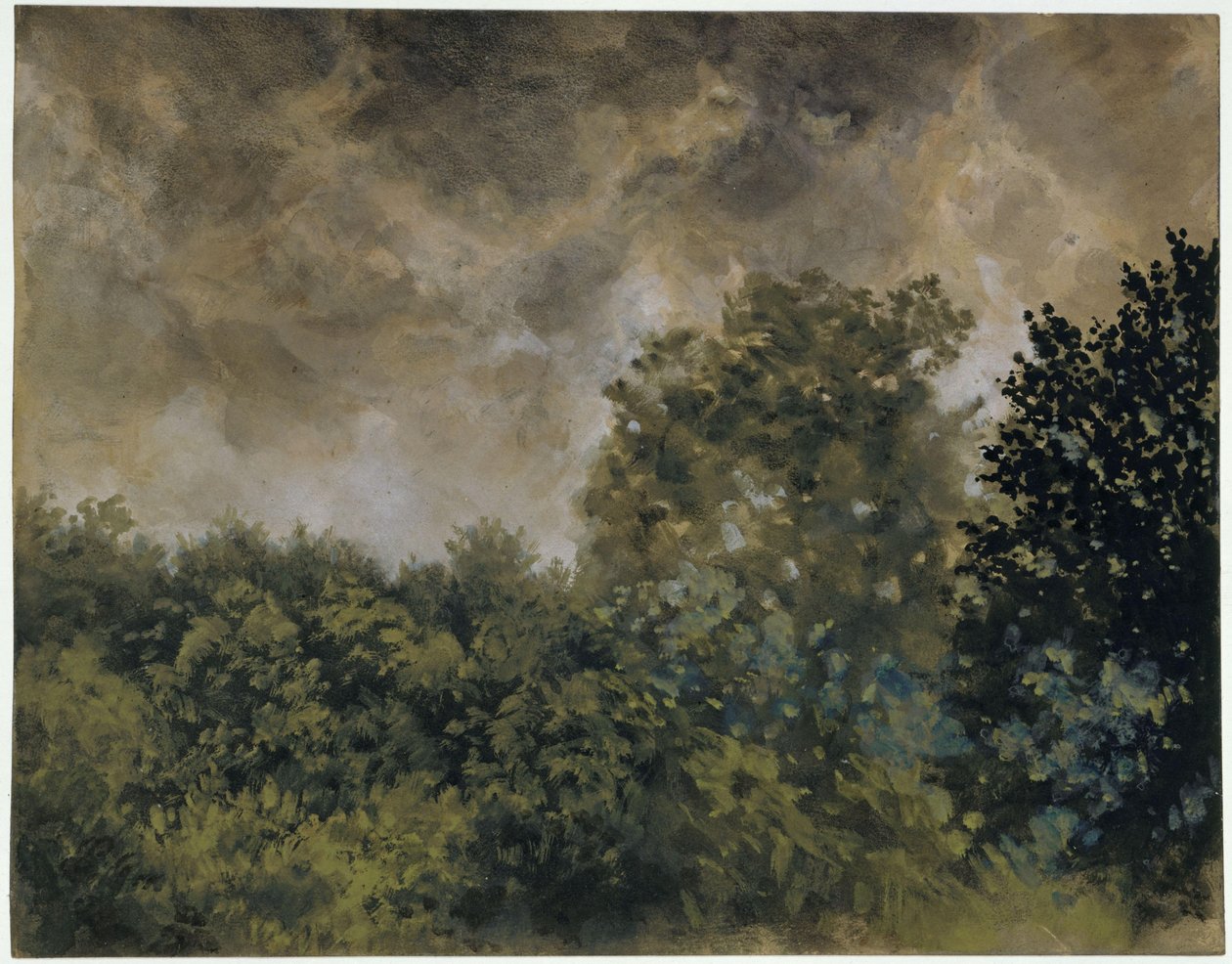 Uitzicht op een loofbos door Adolph Menzel