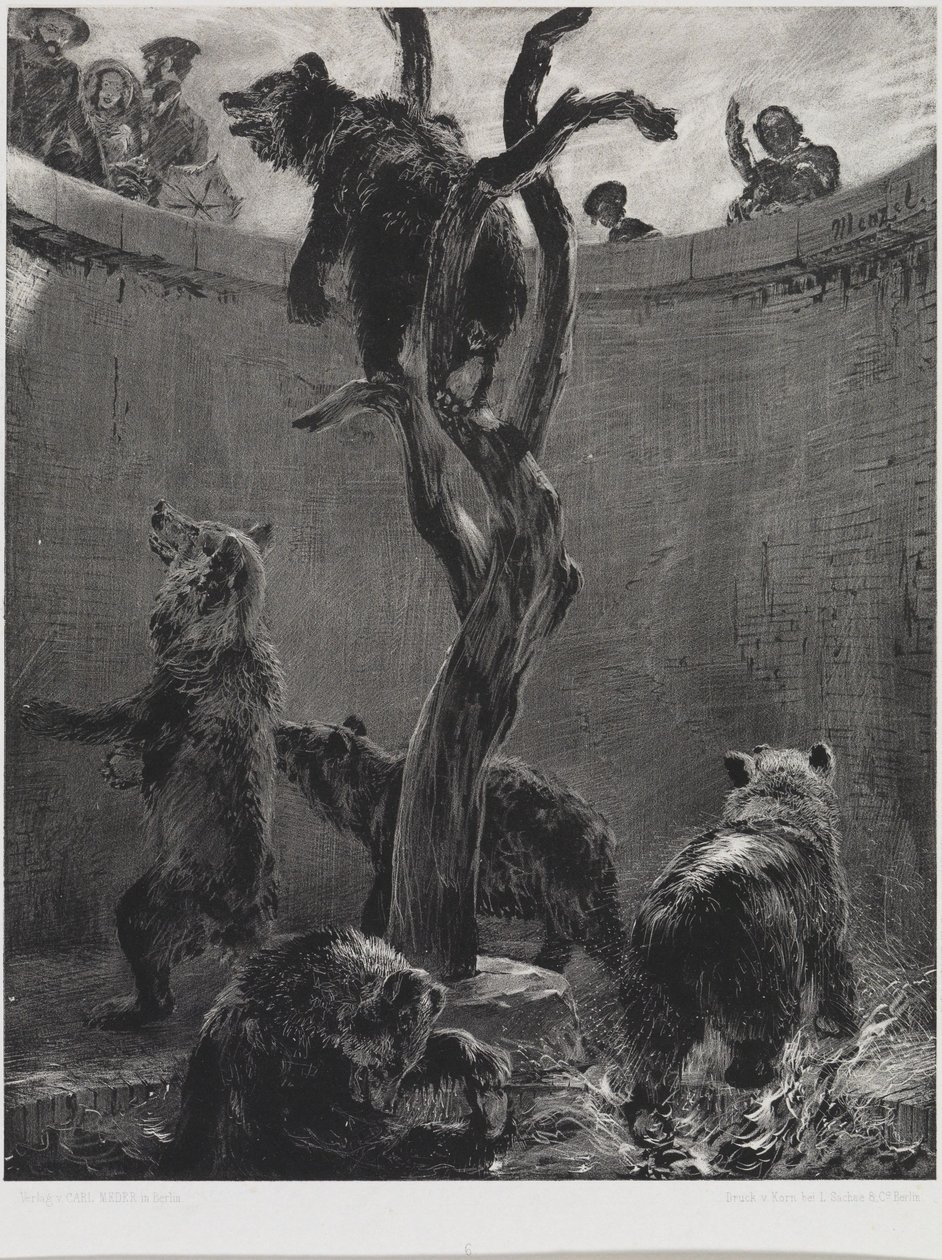 De berenkooi in de dierentuin door Adolph Menzel