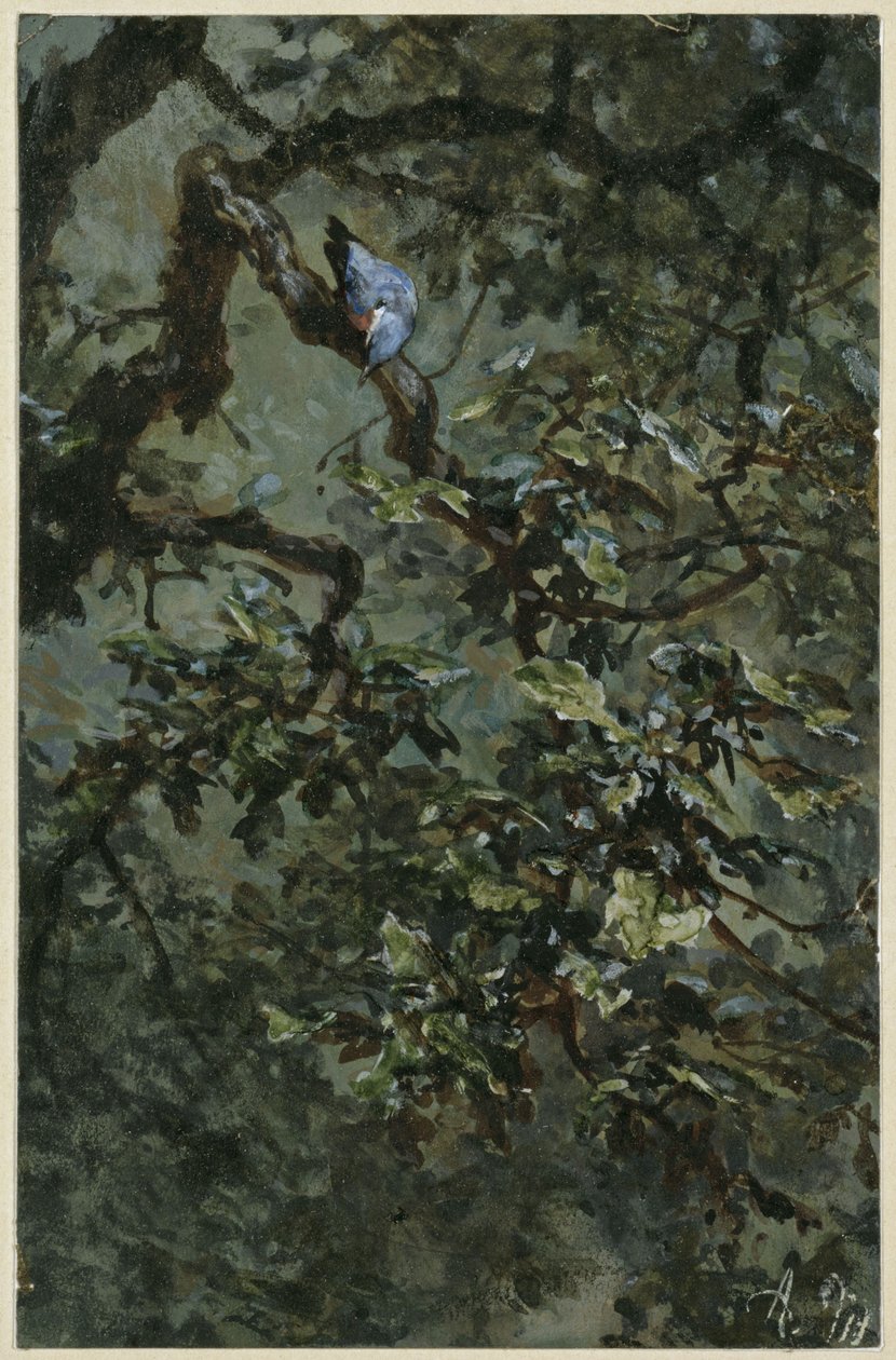 De blauwe specht in het gebladerte. Uit het "Kinderalbum" door Adolph Menzel